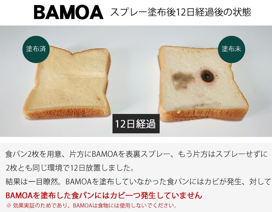BAMOAを吹き付けた食パンは12日経過後もカビ一つ発生していません。