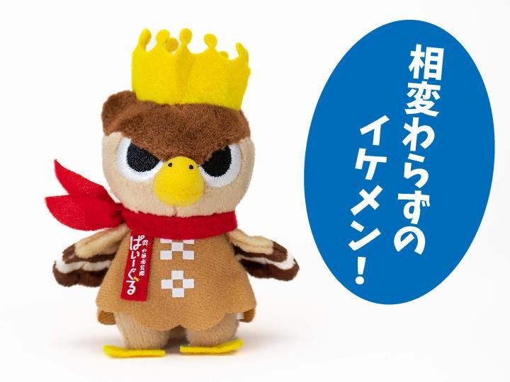 ぱいーぐるマスコット - 沖縄県石垣島のゆるキャラぱいーぐるの