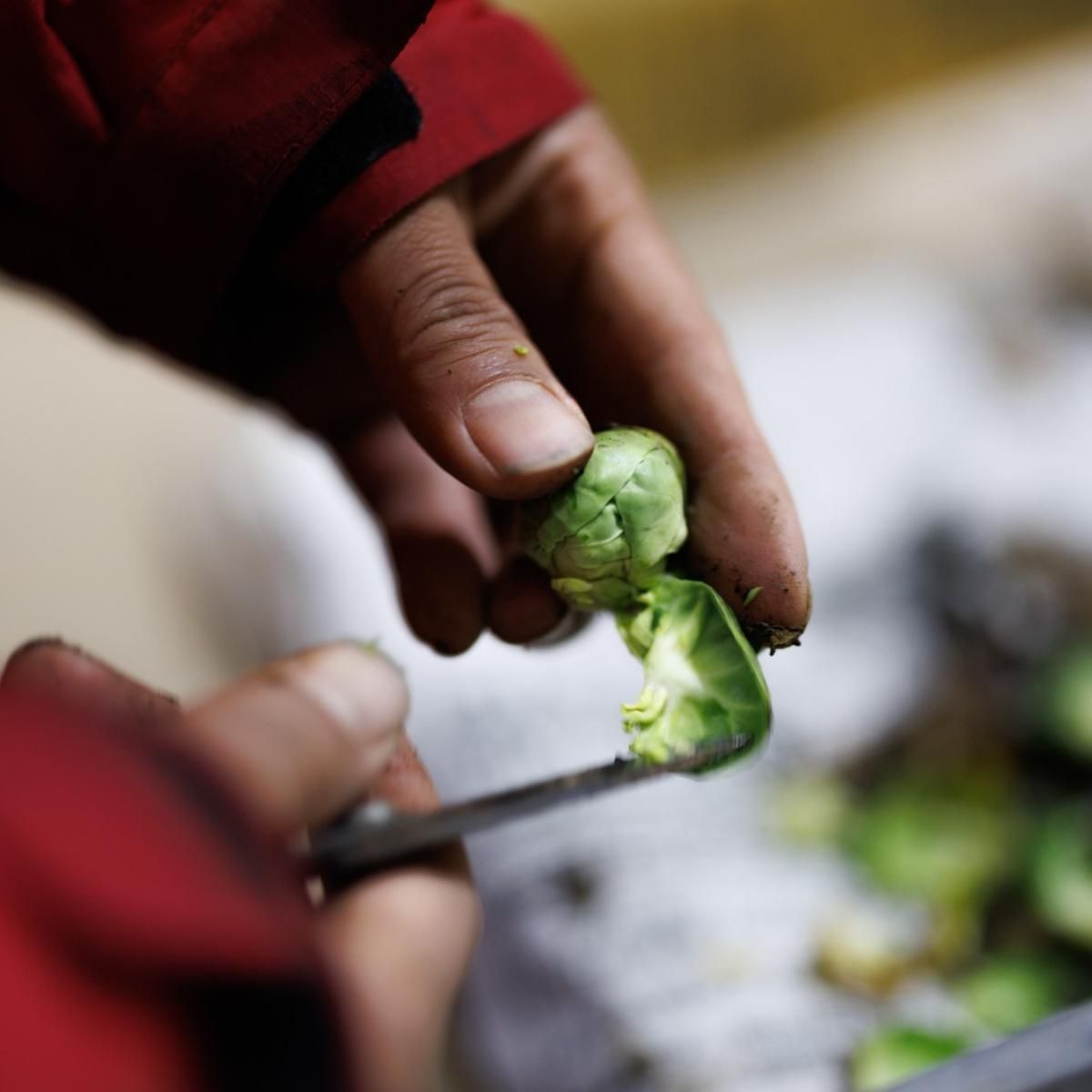 ささきこ様　野菜セット 循環セット | 佐々木ファーム 自然栽培の元気なお野菜をお届けし