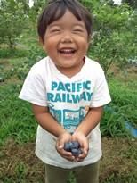 ベイラー 2kg 2025年産 - マルゼン佐藤果樹園