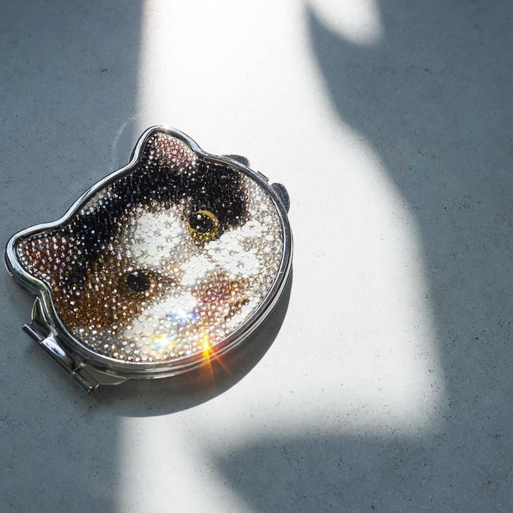 『ねこさまーー様』専用POLAセット 猫 子猫用 飼い始めセット スターターセット フルセット 180