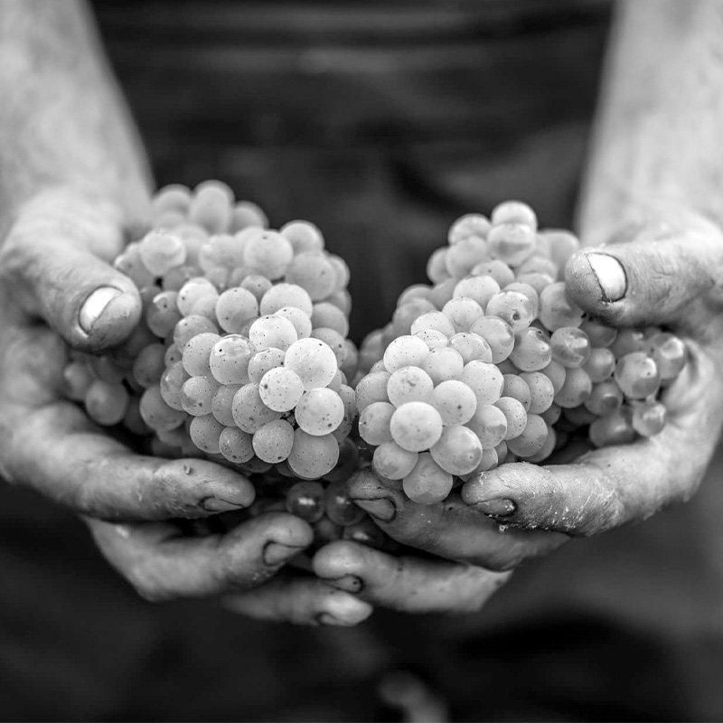 リューボー ジュ・ド・レザン プチ・ピエロ 750ml - シャンパーニュ