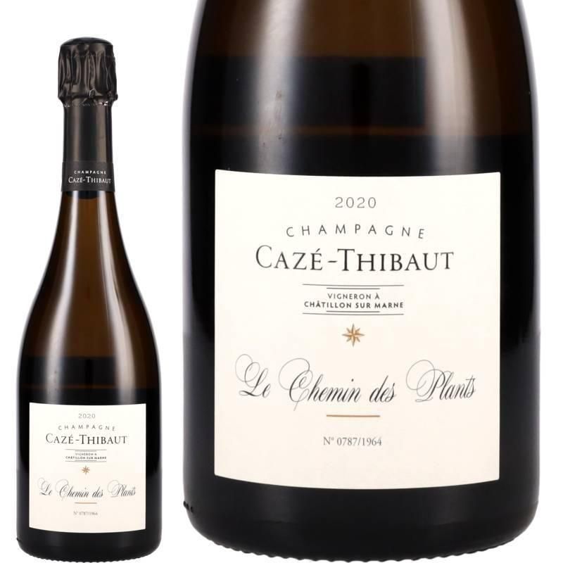 カゼ・ティボー シュマン・デ・プラン 2020 - シャンパーニュ専門店