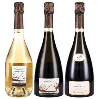 期間限定SALEシャンパーニュ - シャンパーニュ専門店 マチュザレム