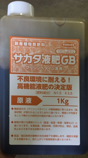 Mamiii様専用 農薬未使用生姜小さめ20kg+bnorte.com.br