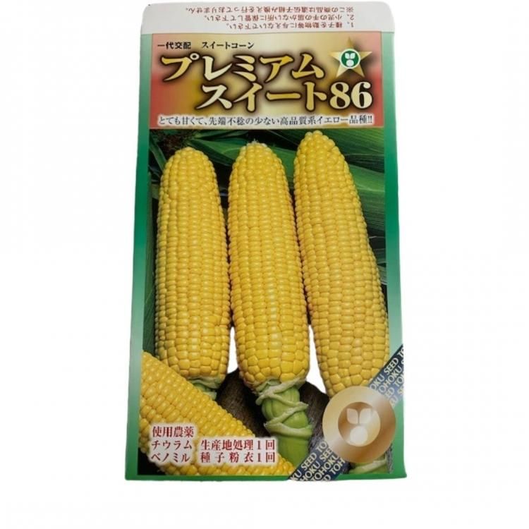グランドホールセール トウモロコシ種子「プレミアム味来85」2000粒3袋 （プレミアム味 果菜
