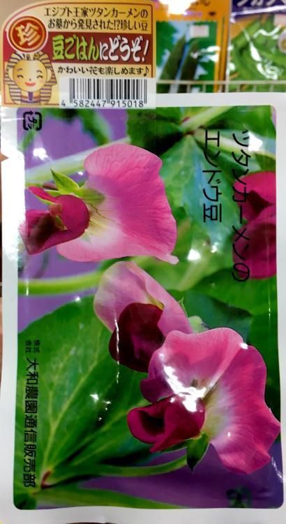 ツタンカーメンのエンドウ豆 株式会社米三 コメサン 種苗 園芸資材 花 長岡野菜 お取り寄せショップ 新潟県長岡市 ツタンカーメンのエンドウ豆 株式会社米三 コメサン 種苗 園芸資材 花 長岡野菜 お取り寄せショップ 新潟県長岡市