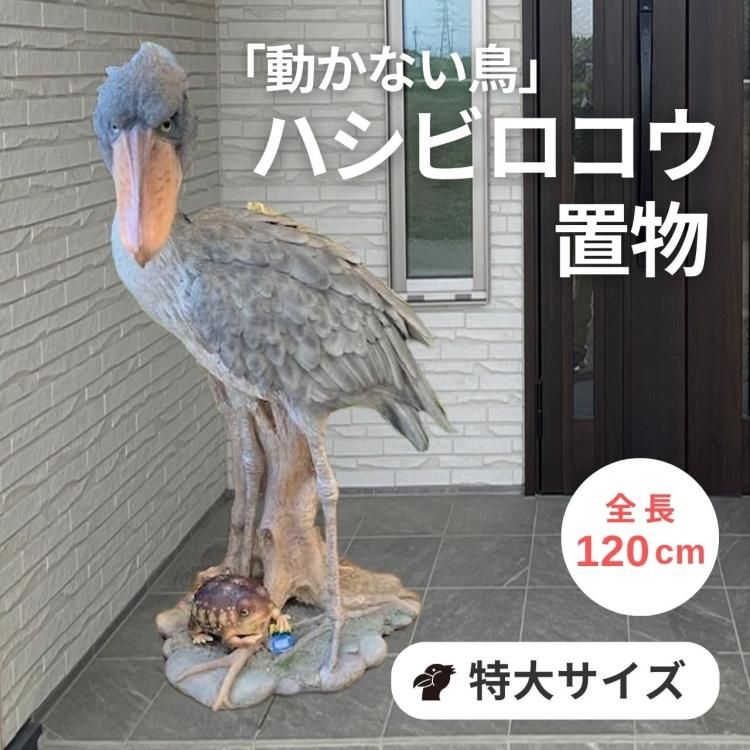 ハシビロコウ 置物 大きい リアル 株式会社米三 コメサン 種苗 園芸資材 花 長岡野菜 お取り寄せショップ 新潟県長岡市 ハシビロコウ 置物 大きい リアル 株式会社米三 コメサン 種苗 園芸資材 花 長岡野菜 お取り寄せショップ 新潟県長岡市