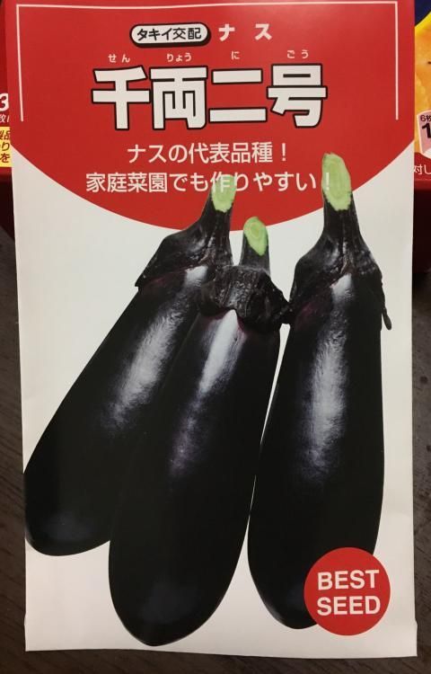 千両2号茄子 種 60粒 株式会社米三 コメサン 種苗 園芸資材 花 長岡野菜 お取り寄せショップ 新潟県長岡市 千両2号茄子 種 60粒 株式会社米三 コメサン 種苗 園芸資材 花 長岡野菜 お取り寄せショップ 新潟県長岡市