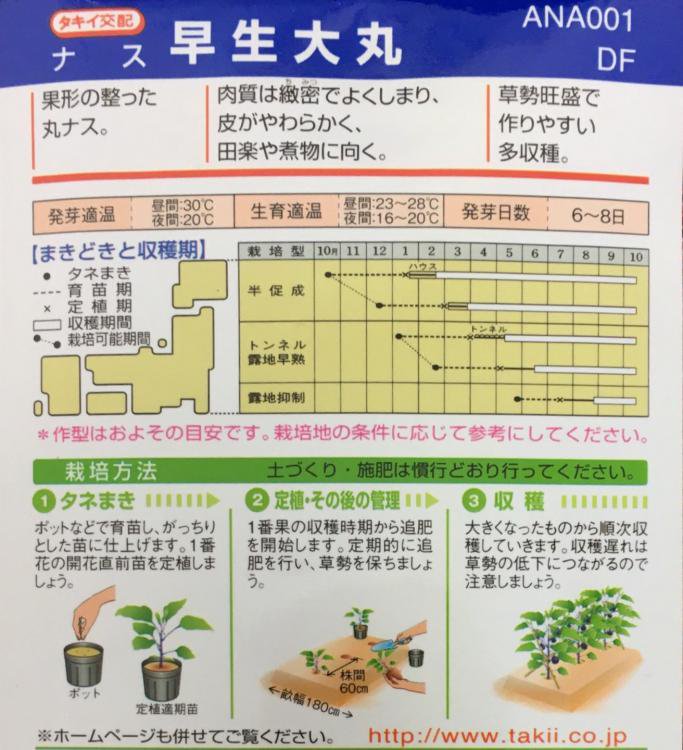 中生大丸茄子【種】1.5ml - 株式会社米三（コメサン） 種苗・園芸資材