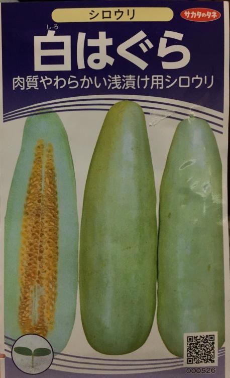 白はぐら瓜【種】2.5ｍｌ - 株式会社米三（コメサン） 種苗・園芸資材 