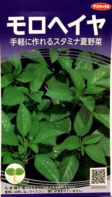 モロヘイヤ 種 株式会社米三 コメサン 種苗 園芸資材 花 長岡野菜 お取り寄せショップ 新潟県長岡市