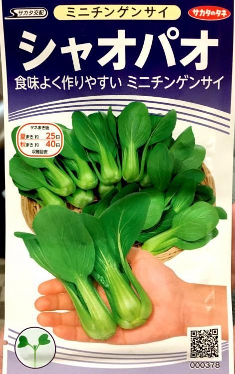 ミニチンゲンサイ シャオパオ 種 3ml 株式会社米三 コメサン 種苗 園芸資材 花 長岡野菜 お取り寄せショップ 新潟県長岡市 ミニチンゲンサイ シャオパオ 種 3ml 株式会社米三 コメサン 種苗 園芸資材 花 長岡野菜 お取り寄せショップ 新潟県長岡市