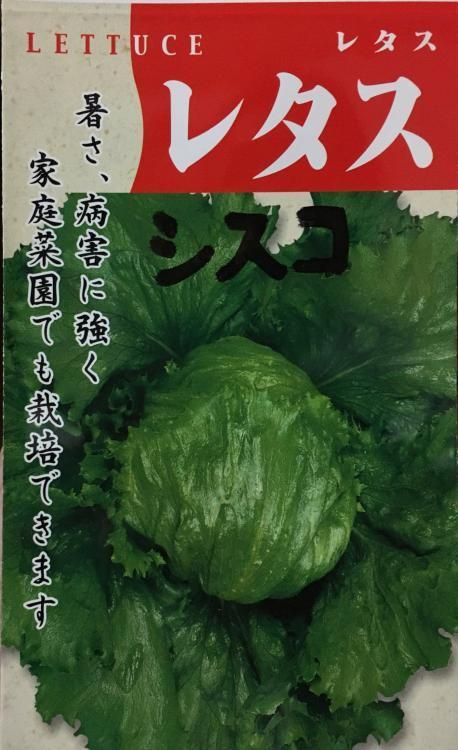 シスコレタス 種 株式会社米三 コメサン 種苗 園芸資材 花 長岡野菜 お取り寄せショップ 新潟県長岡市