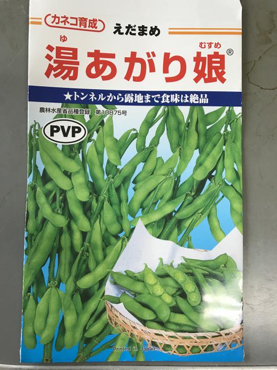 湯上がり娘 枝豆 えだまめ えだ豆 茶豆 人気 野菜種子 中早生 野菜 園芸 栽培 家庭菜園 種まき 種子 たね タネ 小袋 春 夏 -  株式会社米三（コメサン） 種苗・園芸資材・花・長岡野菜 お取り寄せショップ｜新潟県長岡市