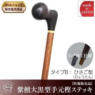 ステンレス製ステッキ プラチナムーン 黒紐巻き セキュリティー