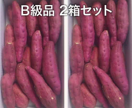 楽天市場】千葉県産 JAかとり 紅はるか Lサイズ 約2.5キロ 7本