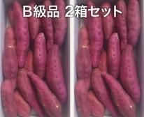 鹿児島県産さつまいも（高系14号）の通販 谷田青果