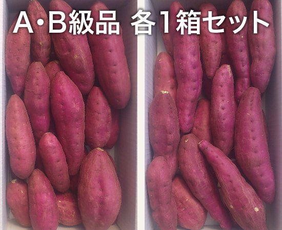 A・B級品さつまいも ミックスサイズ 各1箱（10kg）｜鹿児島県産さつまいも（高系14号）の通販 谷田青果