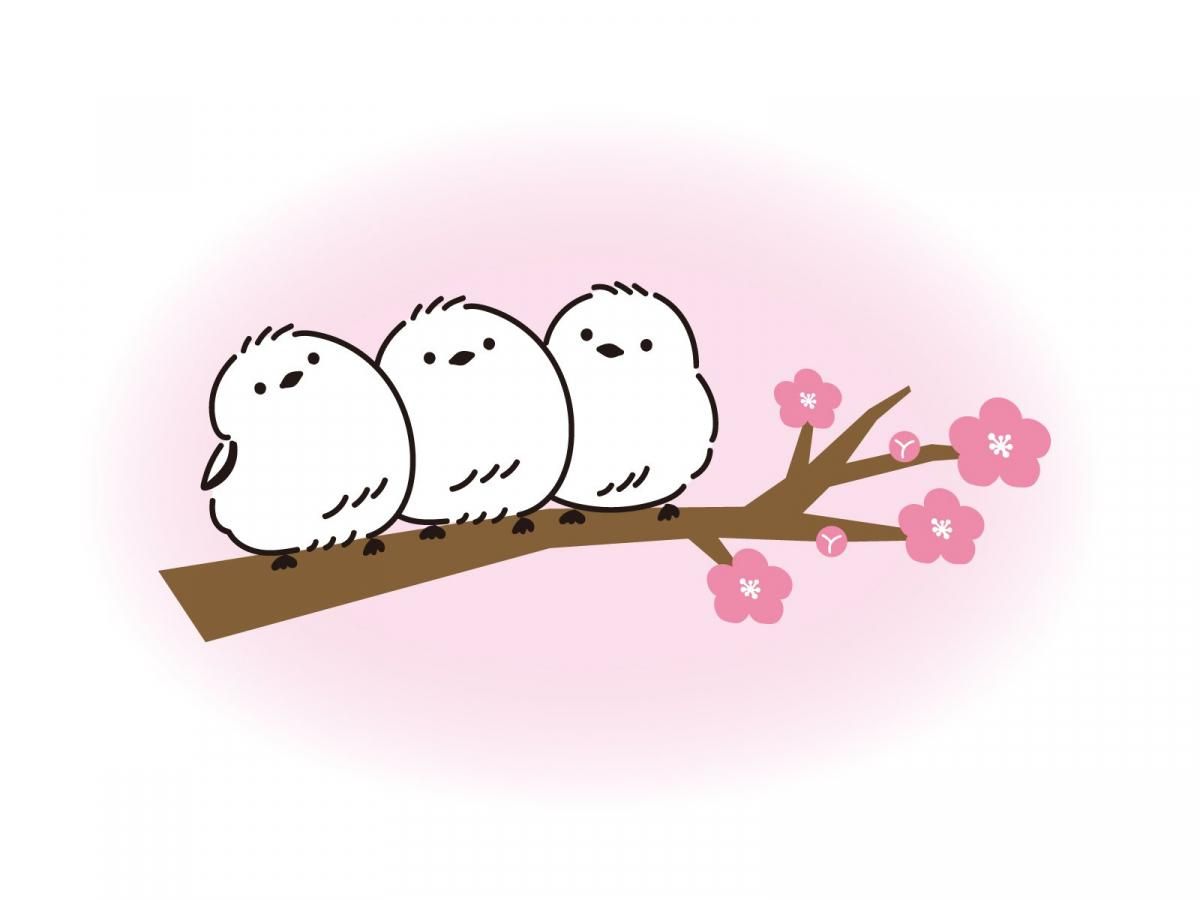 ͡ꥫ