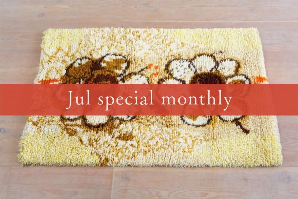 Jul special monthly pick upRYIJY rug