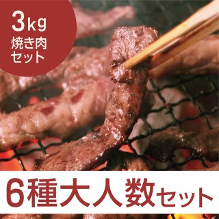 大人数焼き肉セット3kg（10〜12人前）