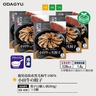KK408,ĵ12204g5<br>