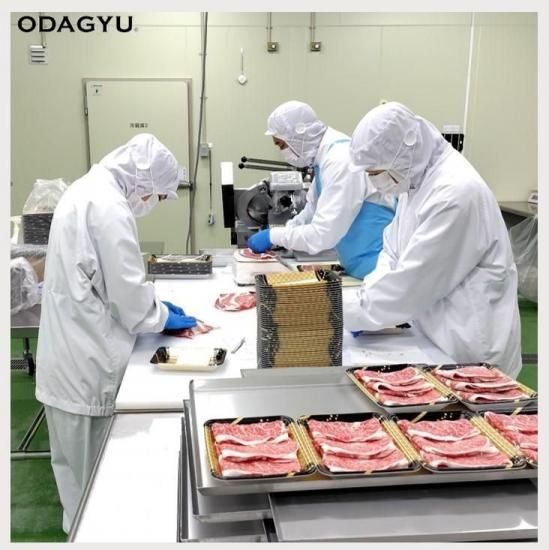 今日だけ大幅セール！！藤田ことね 一番くじ セット販売 リアルくじブランド「くじスクエア」より発売予定の『コムドット