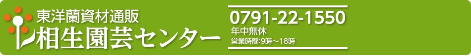 相生園芸センター|東洋蘭資材通販|春蘭|中国蘭|中国春蘭|寒蘭|栽培方も質問下さい。