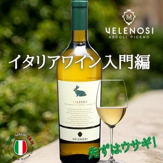 白ワイン 辛口 ファレーリオ ヴェレノージ マルケ - イタリアワイン専門店 Ｙ＆Ｍ辛口白ワイン