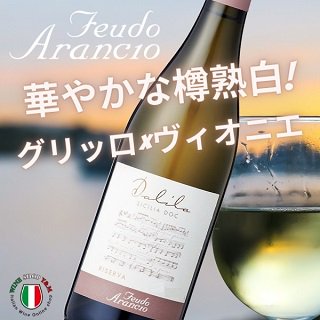 白ワイン 辛口 ダリラ フェウド･アランチョ イタリア シチリア - イタリアワイン専門店　Ｙ＆Ｍ