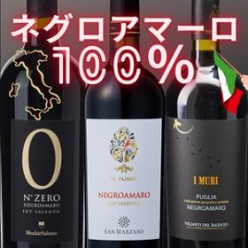 ネグロアマーロ 100% イタリア プーリア 赤ワインセット 飲み比べ