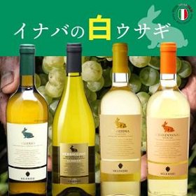 白ワインセット - イタリアワイン通販【ワインショップY&M】｜人気の