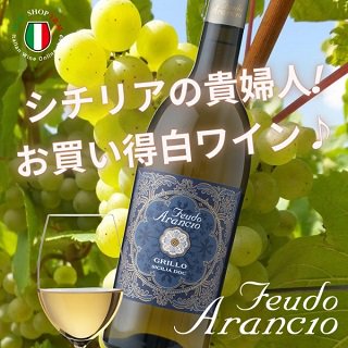 白ワイン 辛口 グリッロ フェウド アランチョ イタリア シチリア