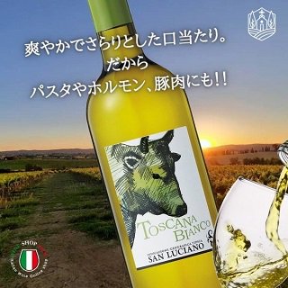 白ワイン 辛口 トスカーナ ビアンコ サン･ルチアーノ イタリア - イタリアワイン専門店　Ｙ＆Ｍ