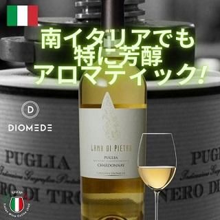 Amazon.co.jp: ノーブランド品 白ワイン ラーマ・ディ・ピエトラ