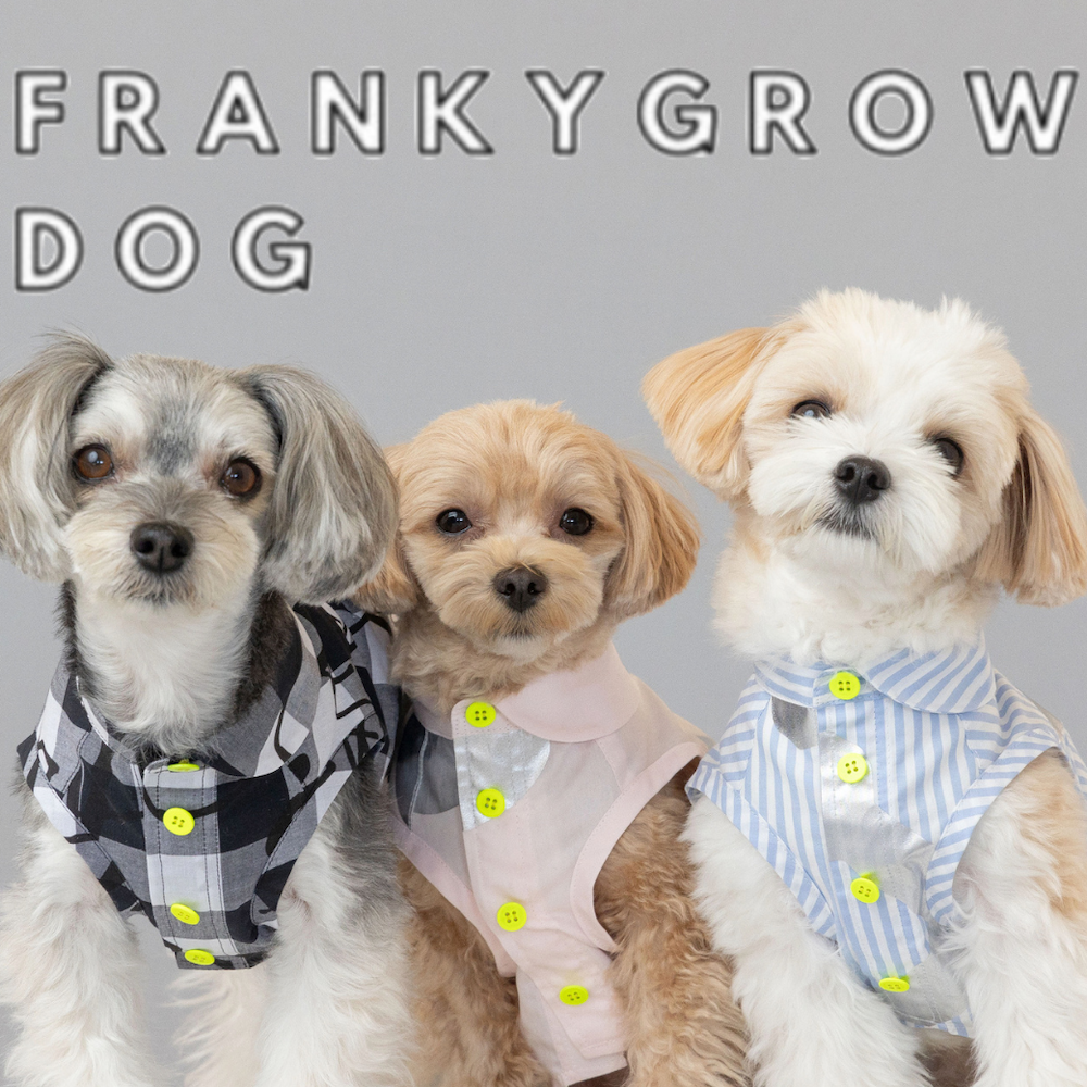 frankygrow  1st