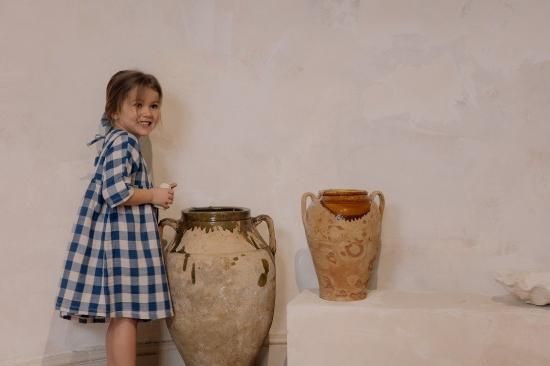 Organic Zoo Pottery Blue Gingham Bella Dress - enjoykidsus