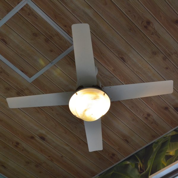 VENICE CEILING FAN