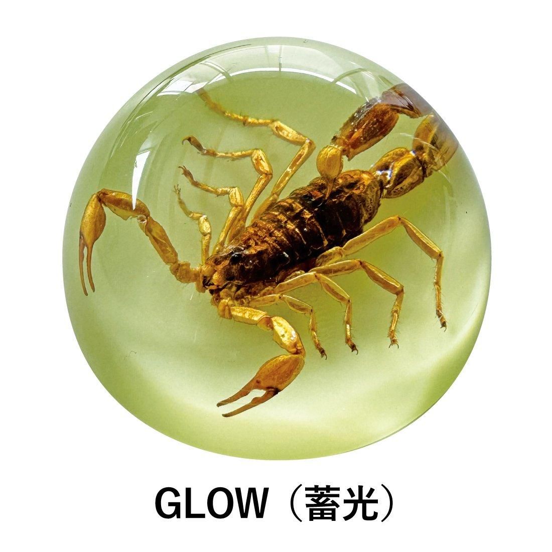 全品10% 1000円☆2/23(日)限定/ Scorpion スコーピオン EXO SC 全品10% 1000円☆2/23(日)限定/ Scorpion スコーピオン EXO SC