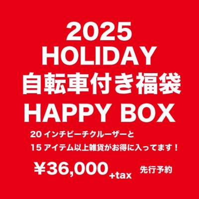 2025 HOLIDAY BEACH CRUISER HAPPY BOX