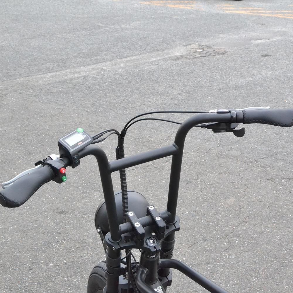 BRONX Buggy 20 e-bike