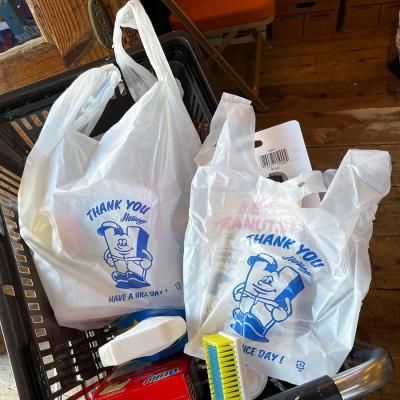 HOLIDAY Shopping Bag 100pcs Set