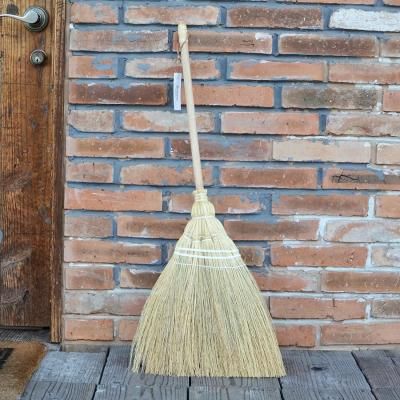 Broom Standard
