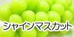 㥤ޥå
