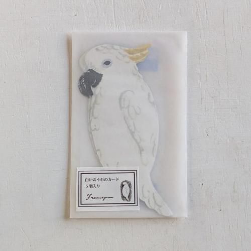 <img class='new_mark_img1' src='https://img.shop-pro.jp/img/new/icons14.gif' style='border:none;display:inline;margin:0px;padding:0px;width:auto;' />�򤤤�����Υ�����