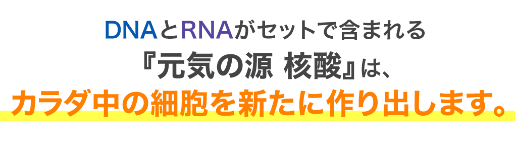 DNAとRNAがセットで含まれる『元気の源 核酸』