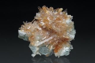 ꡼СCreedite ʪɸܢ