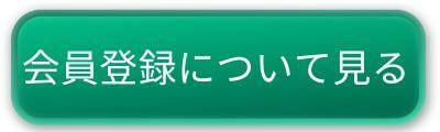 ʥݥ󤢤ꡣϿå