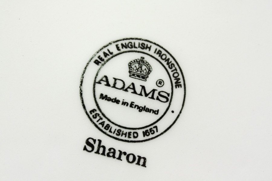 Adams Sharon ॹ  ǥȥץ졼 ɥץ졼 ץ졼